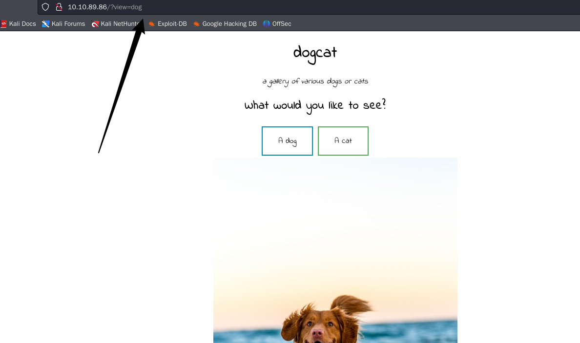 image-20241018161647388