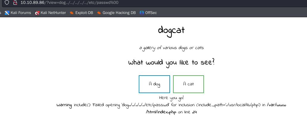 image-20241018161918408