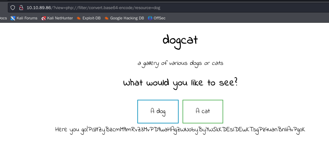 image-20241018162212286