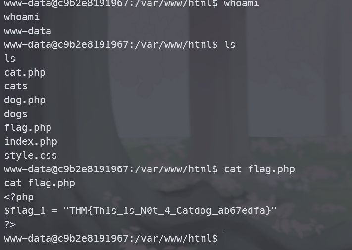 image-20241018181148117