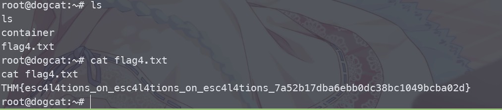 image-20241018191730005