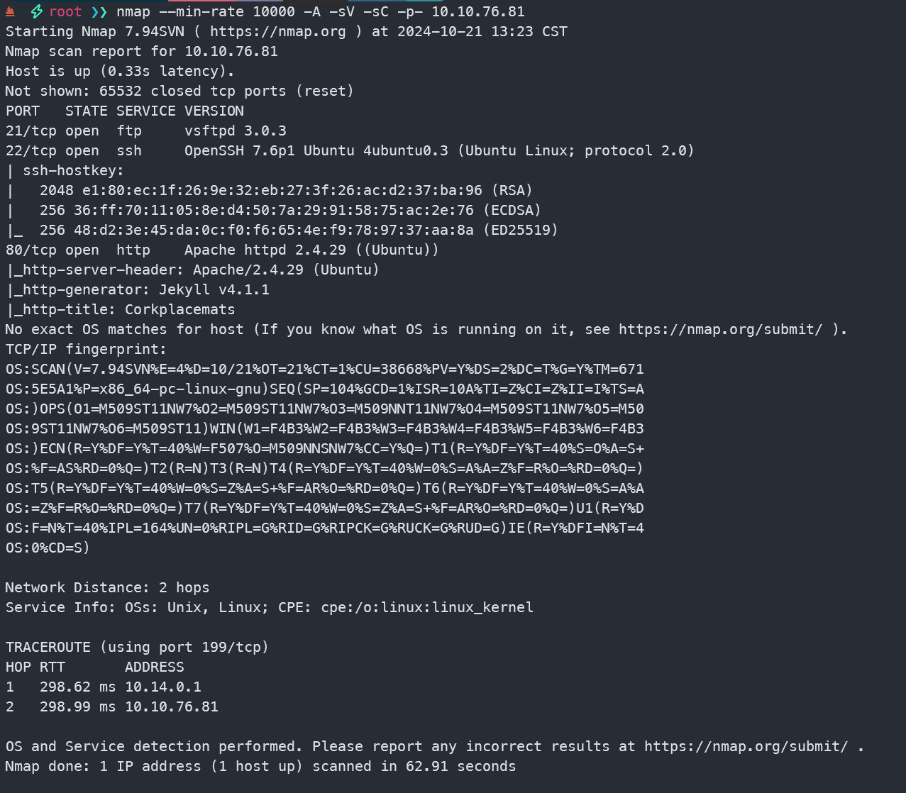 image-20241021132444064