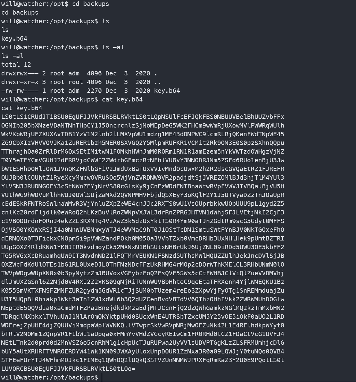 image-20241021152839278