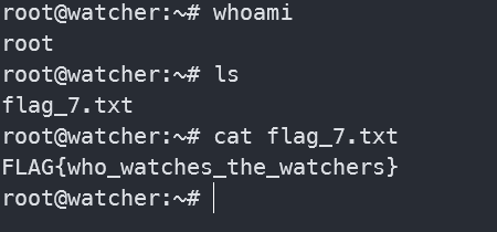 image-20241021153501169