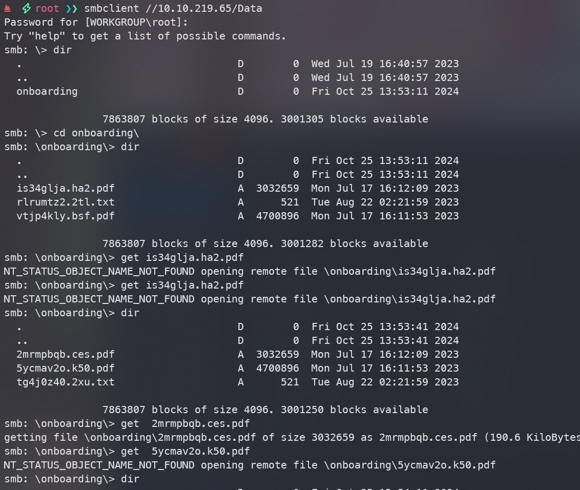 image-20241025135442301