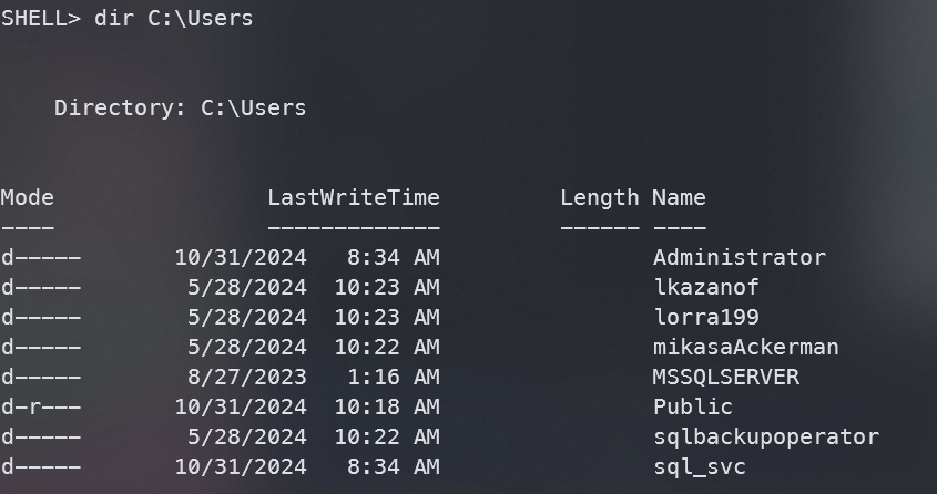 image-20241031182527902