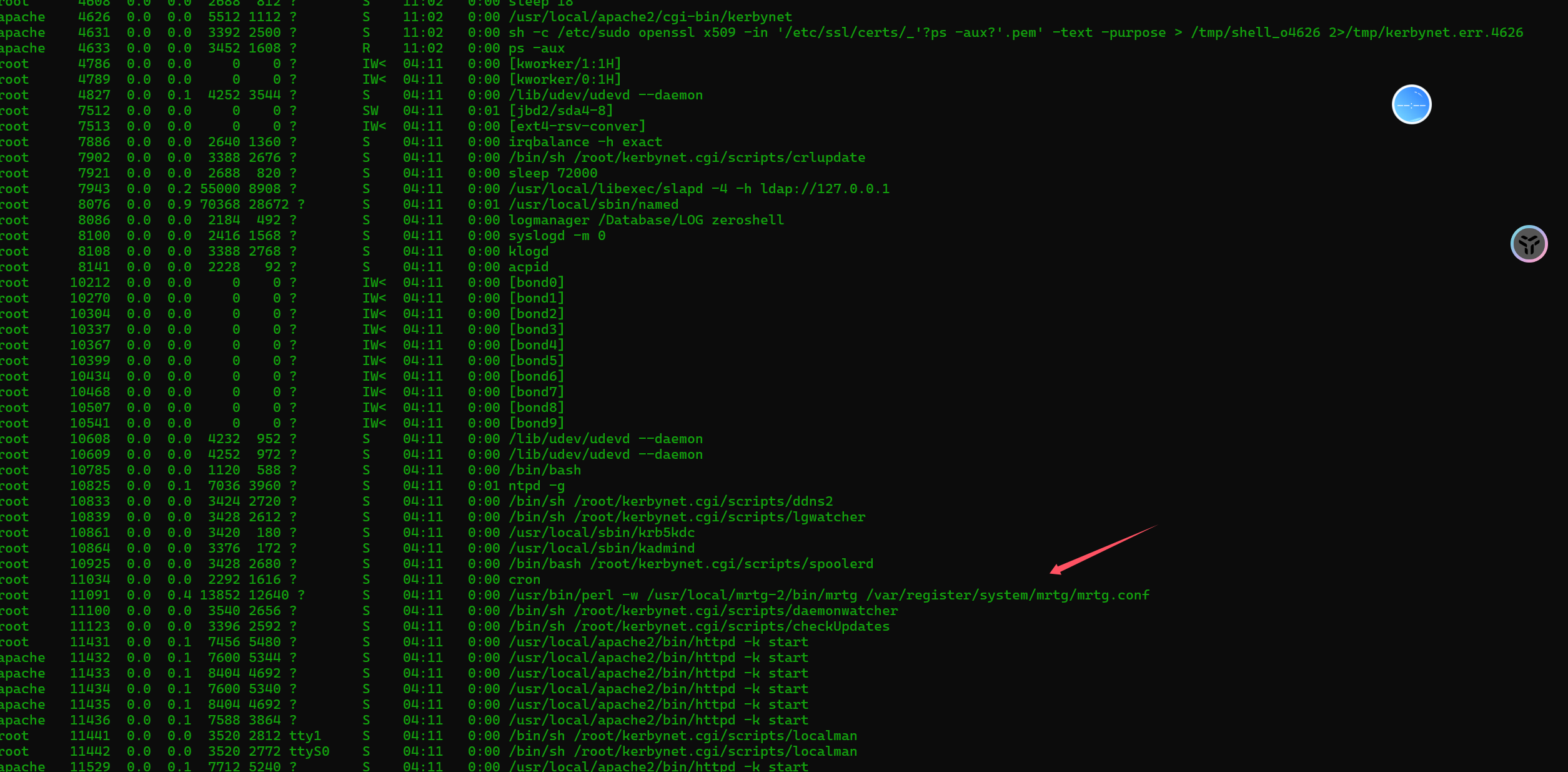 image-20241216090004900