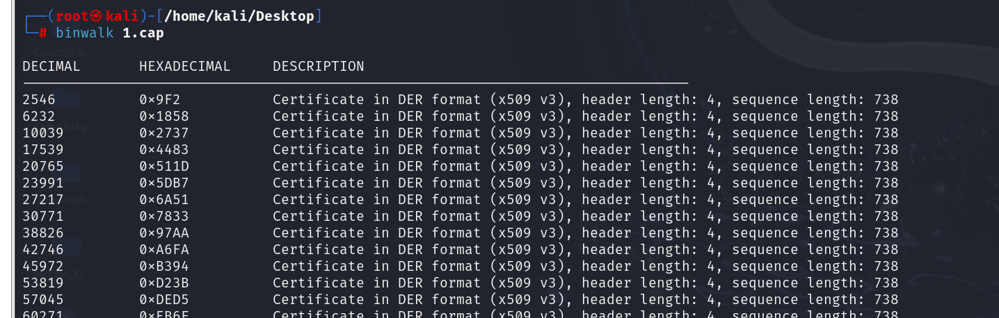 image-20241216090658443