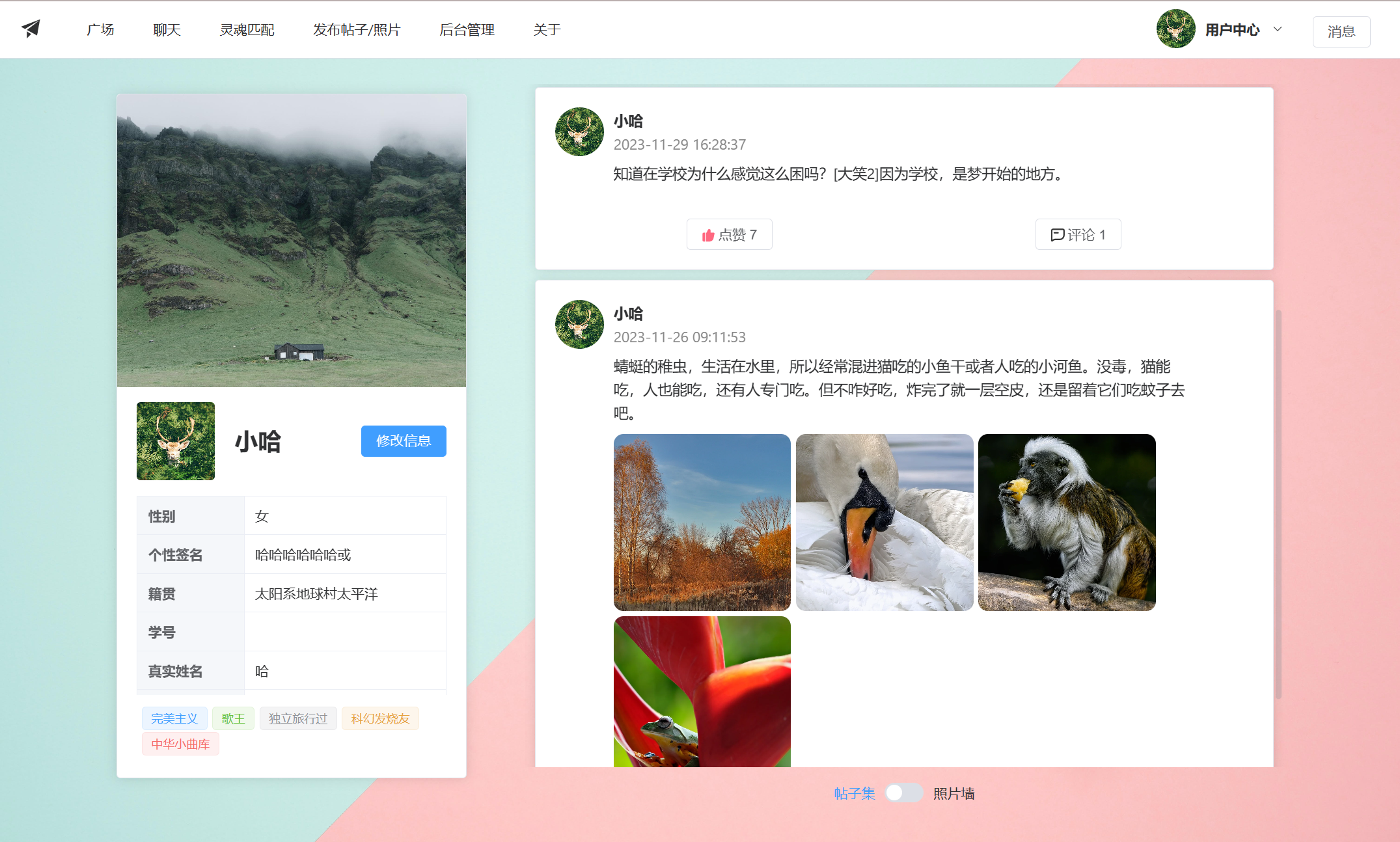 image-20231221160221612