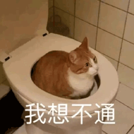 image-20241011201043664