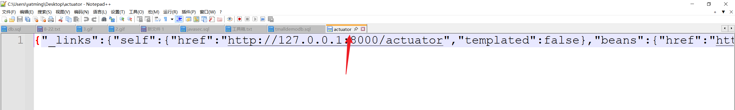 image-20250824152505625