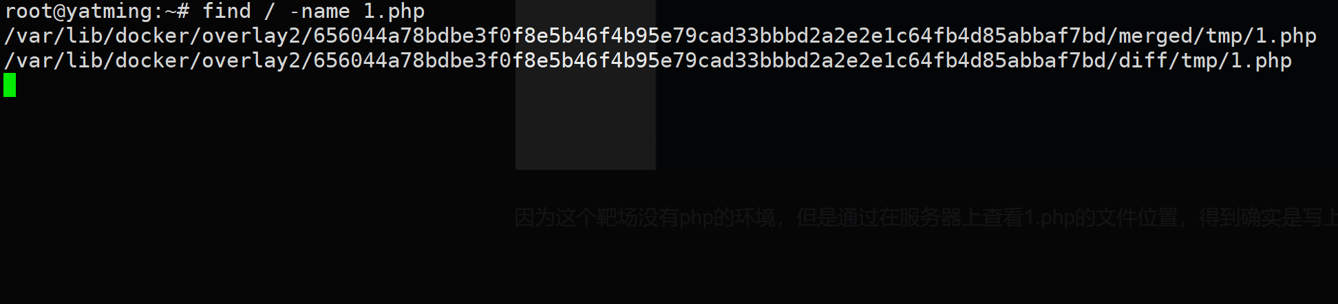 image-20250828124724245