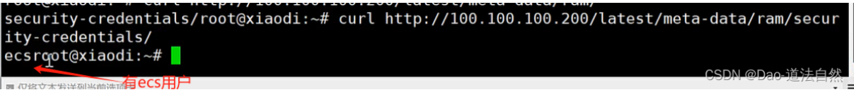 image-20250904150541190