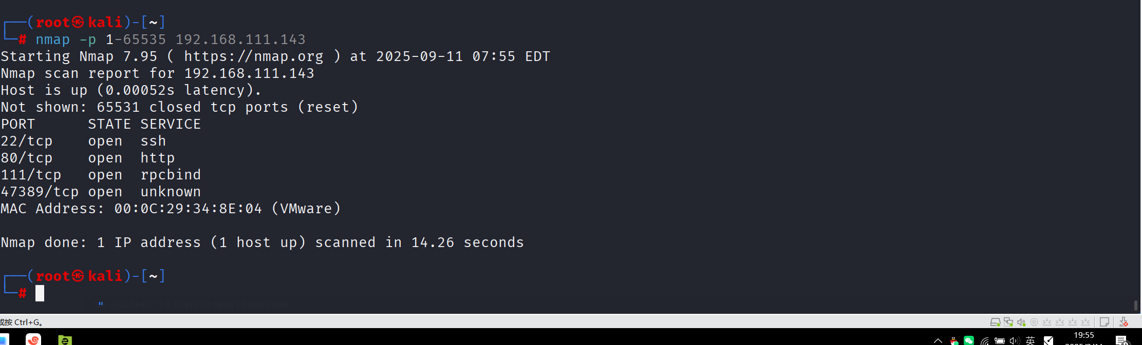 image-20250911195550781