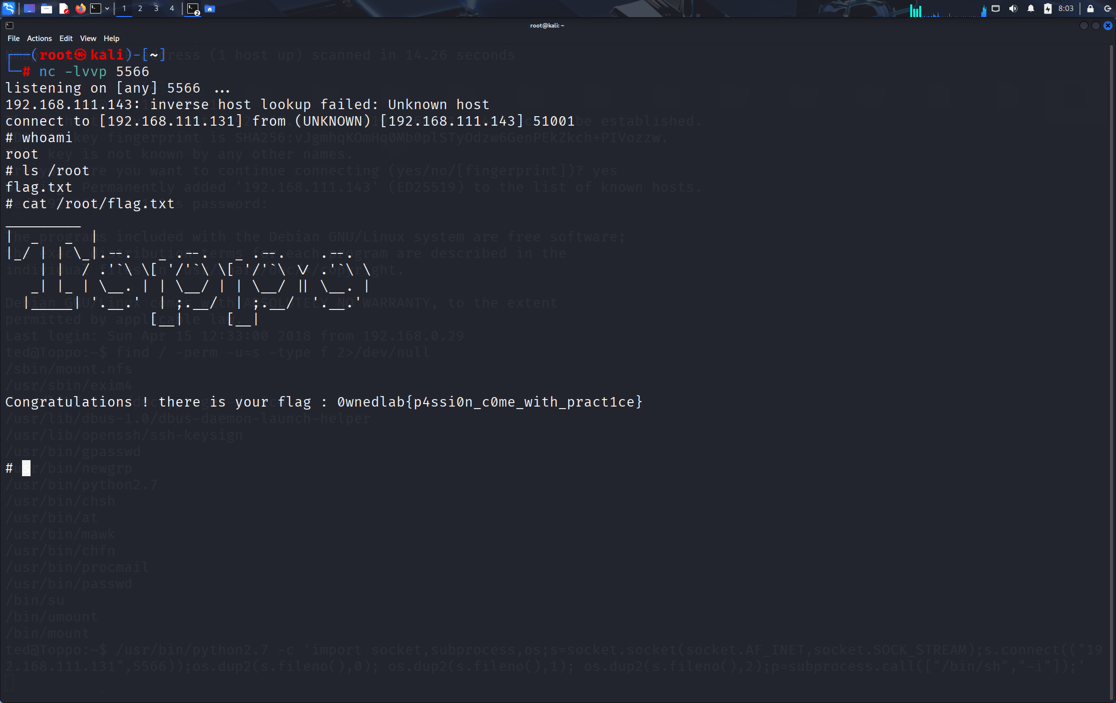 image-20250911200334615