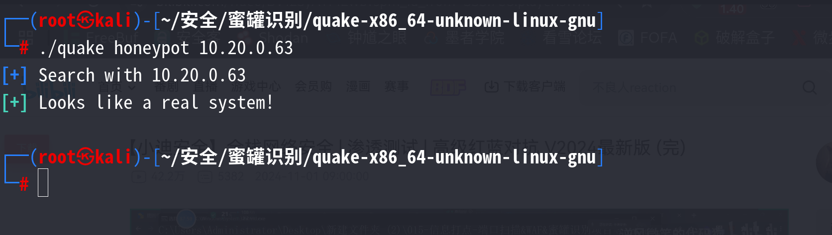 image-20250510113236969