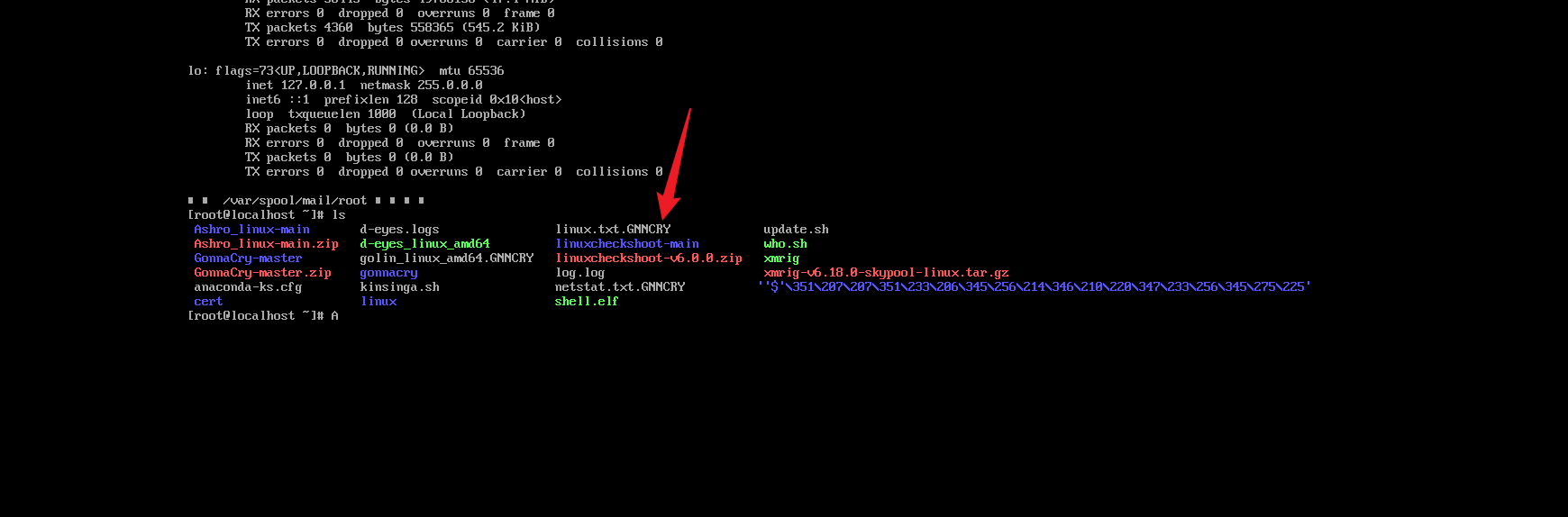 image-20250703112409678