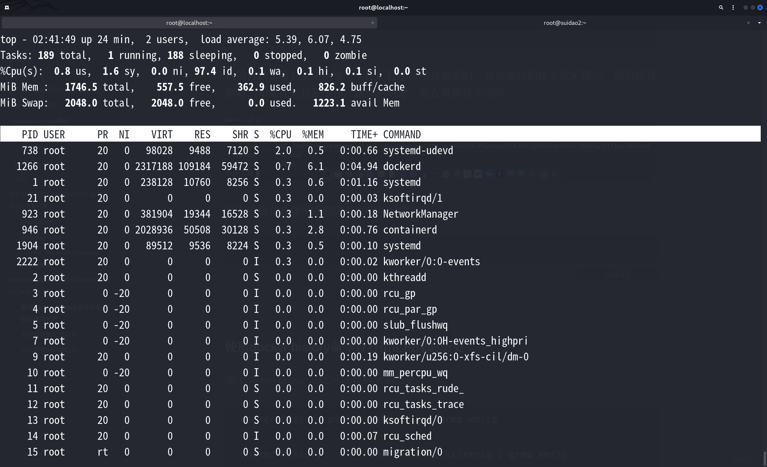 image-20250706144212160