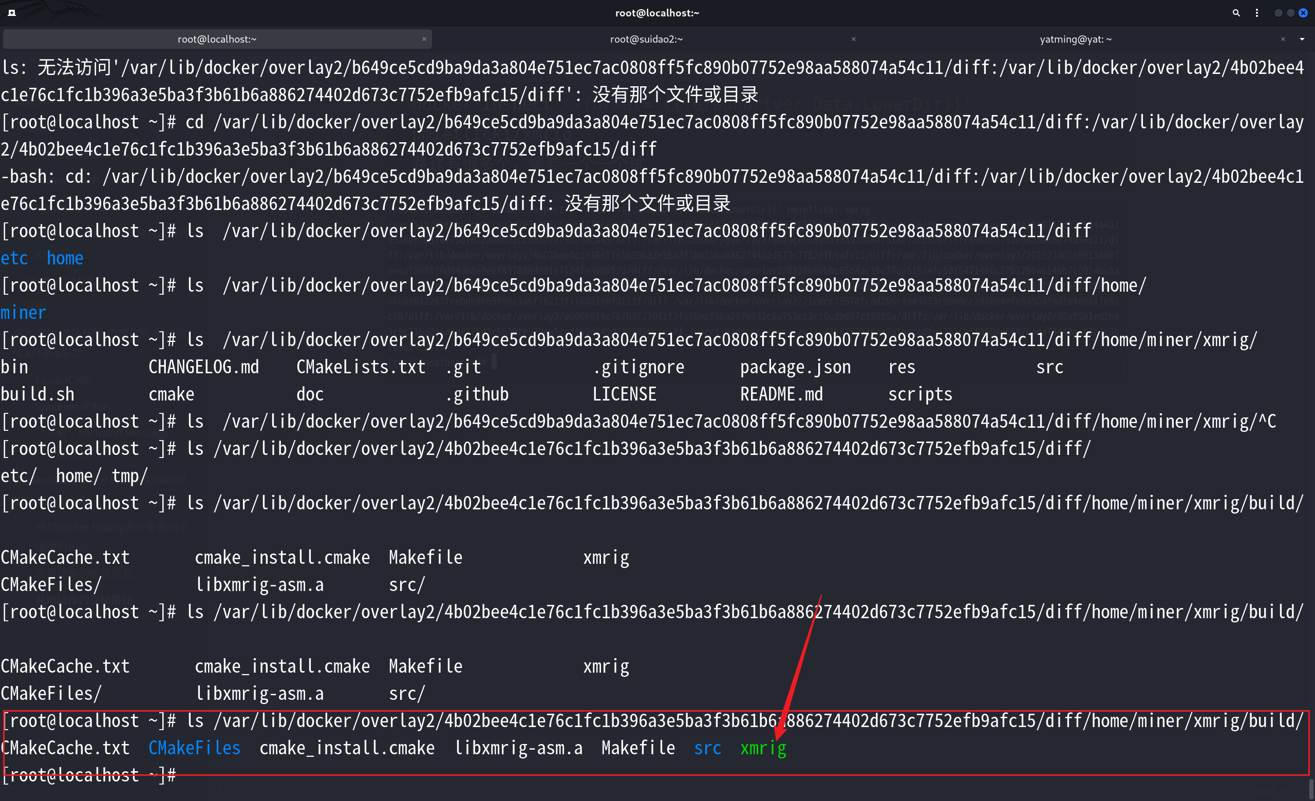 image-20250706145404410