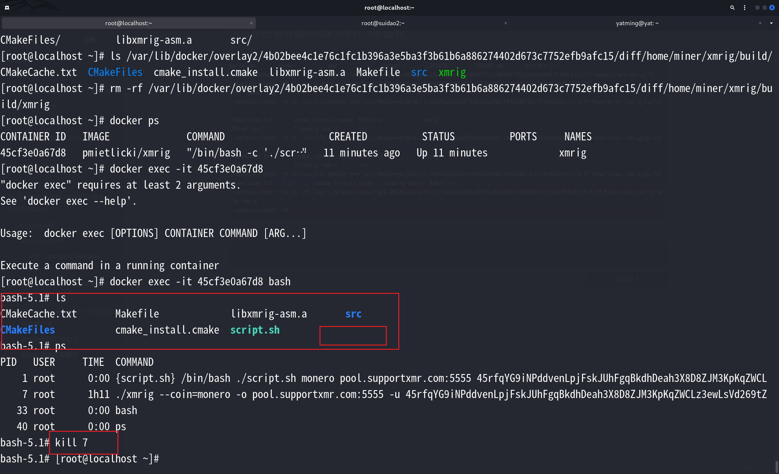 image-20250706145611601