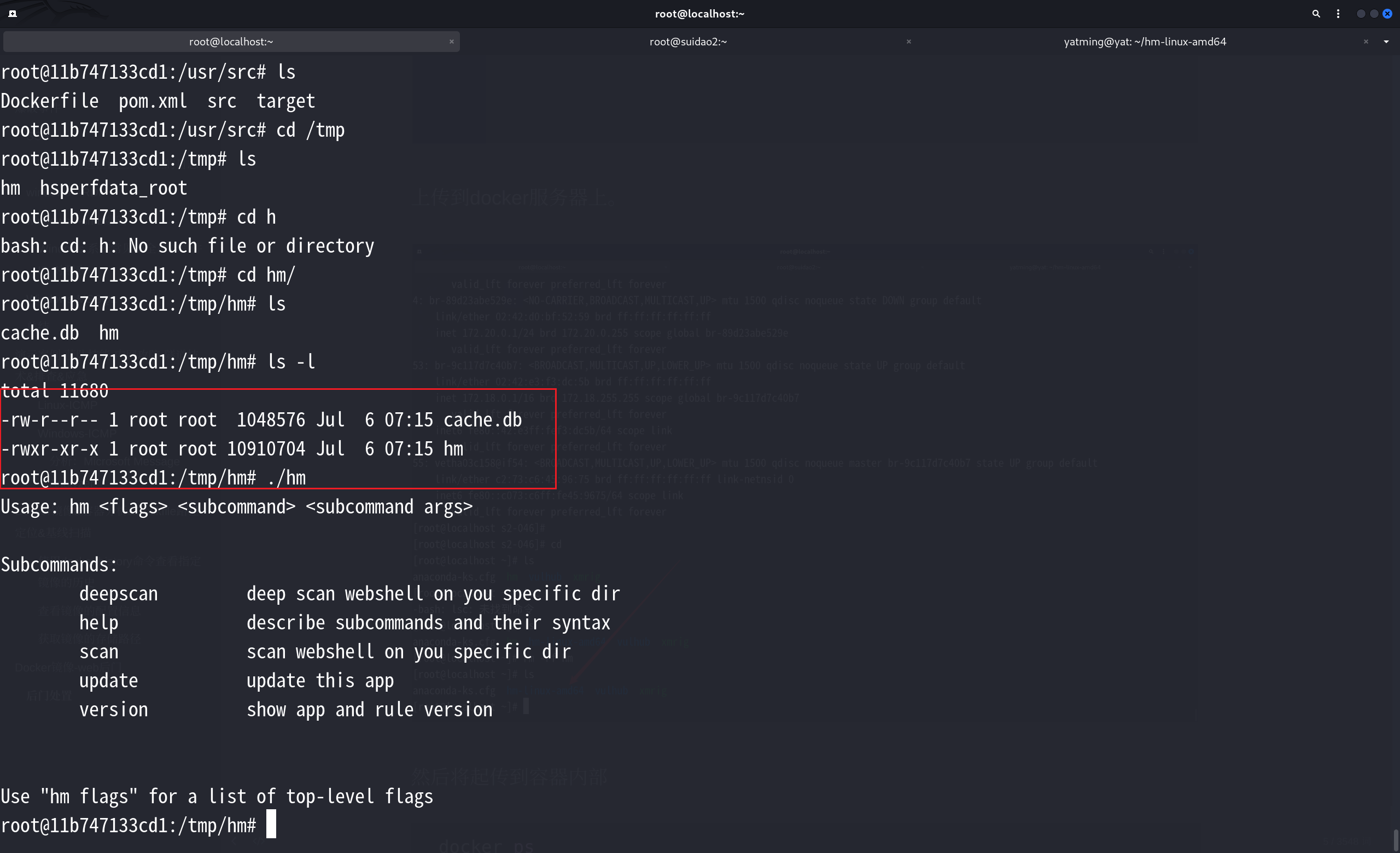 image-20250706151701784