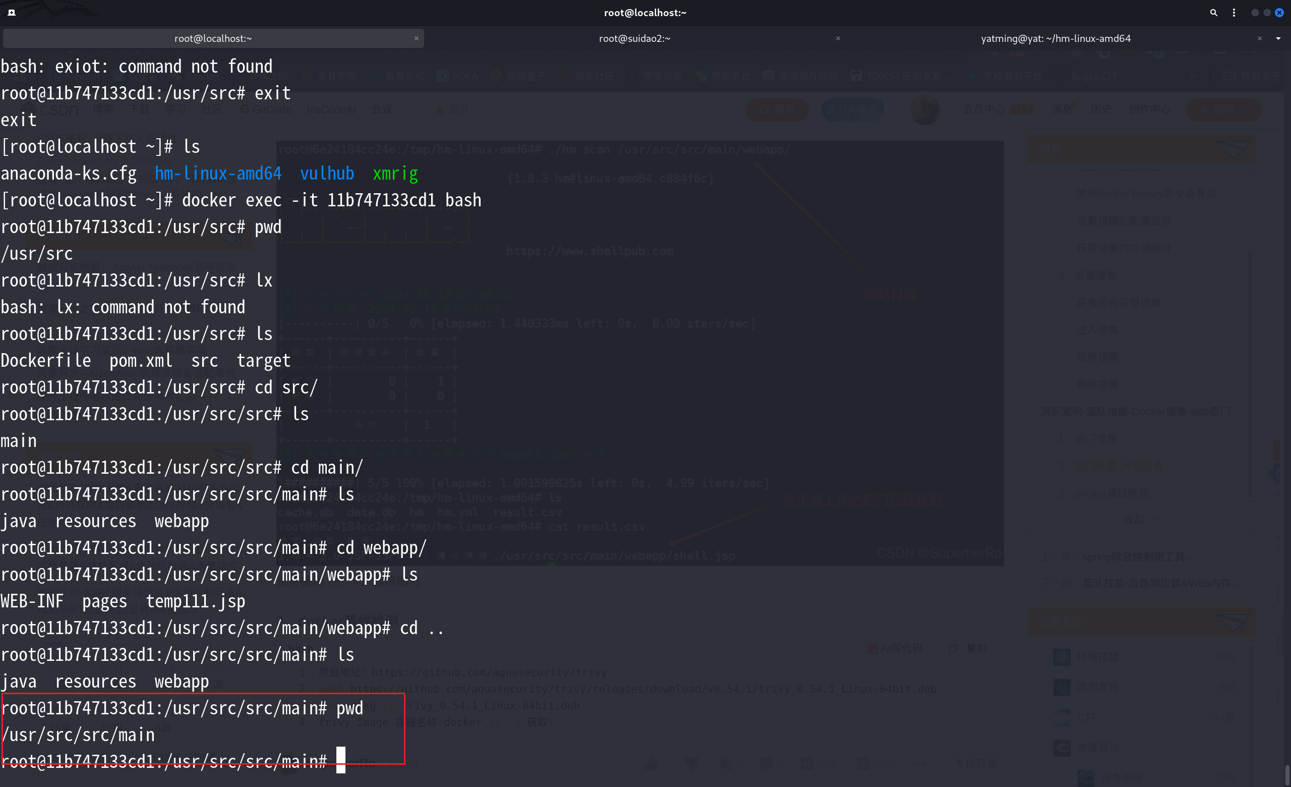 image-20250706151921749