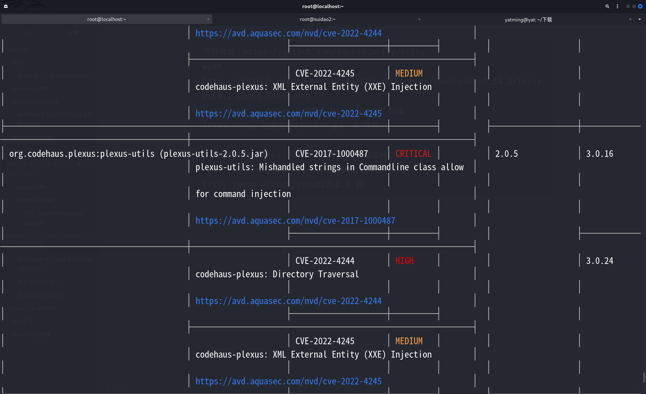 image-20250706155518138