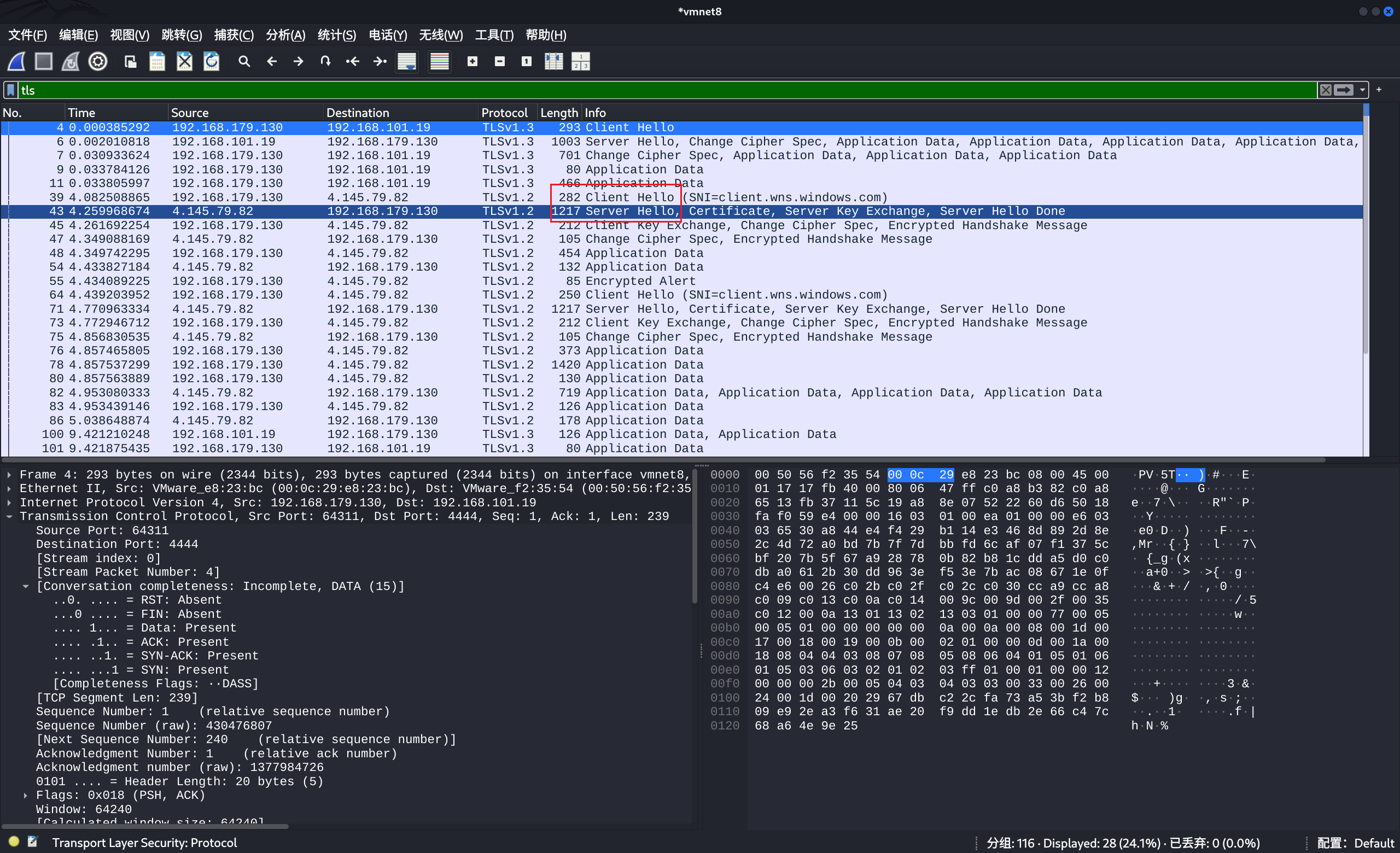 image-20250711165304389