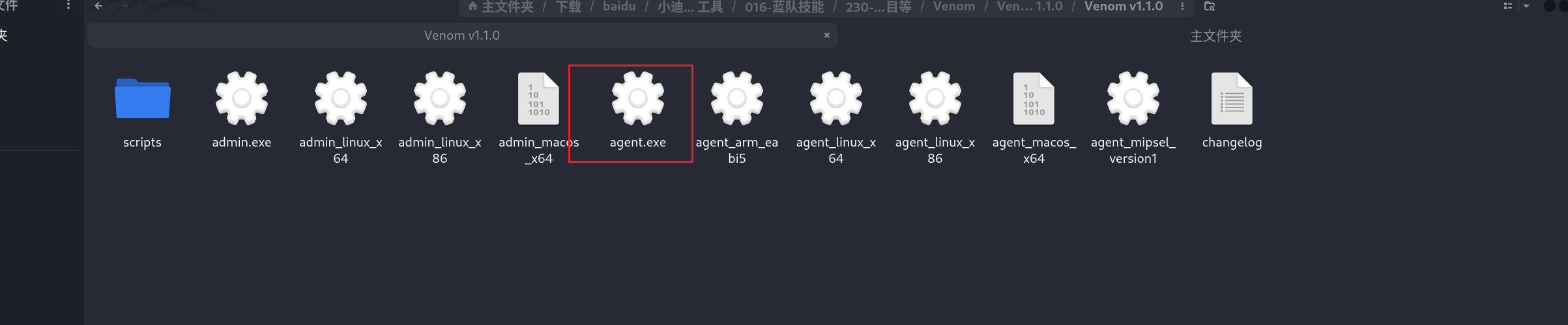 image-20250711203730771