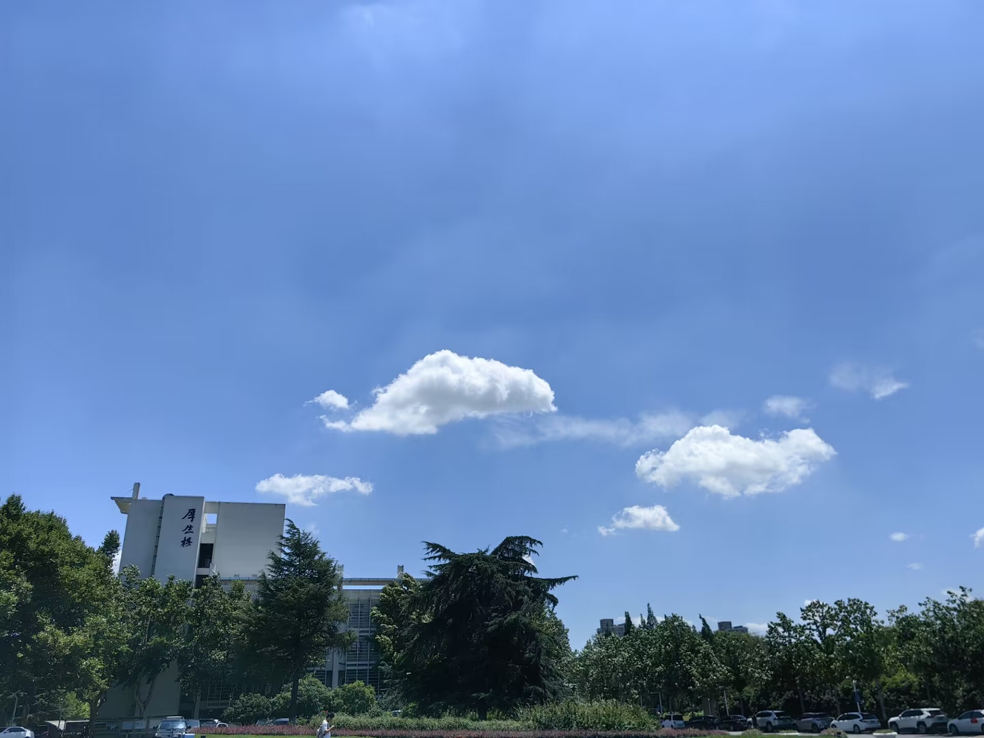 图像超分辨率残差密集网络(RDN)