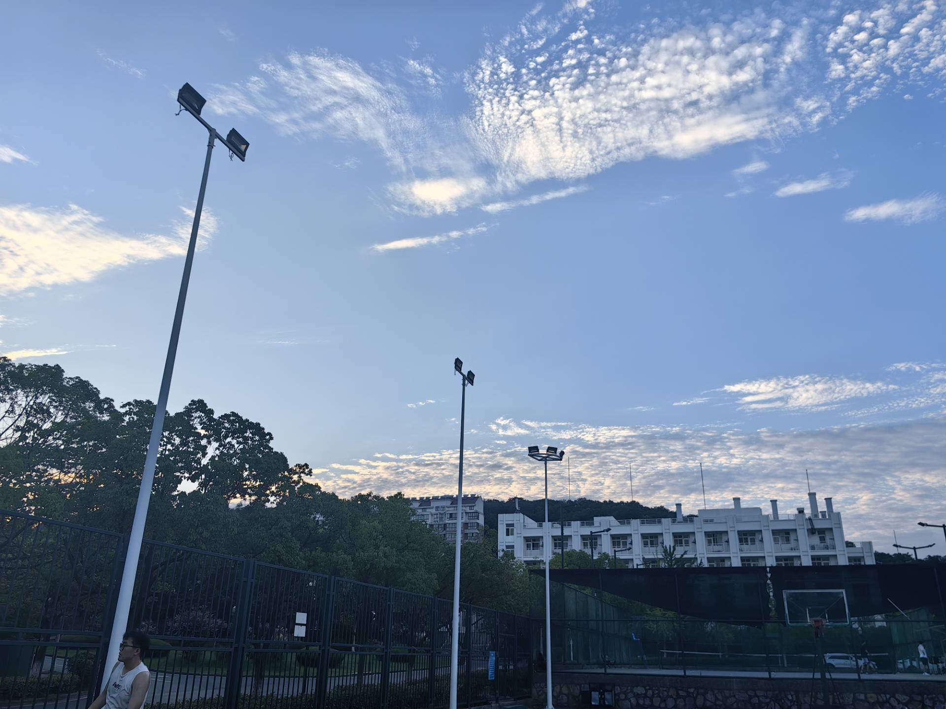 零射击学习实现了光学荧光显微镜的即时去噪和超分辨率