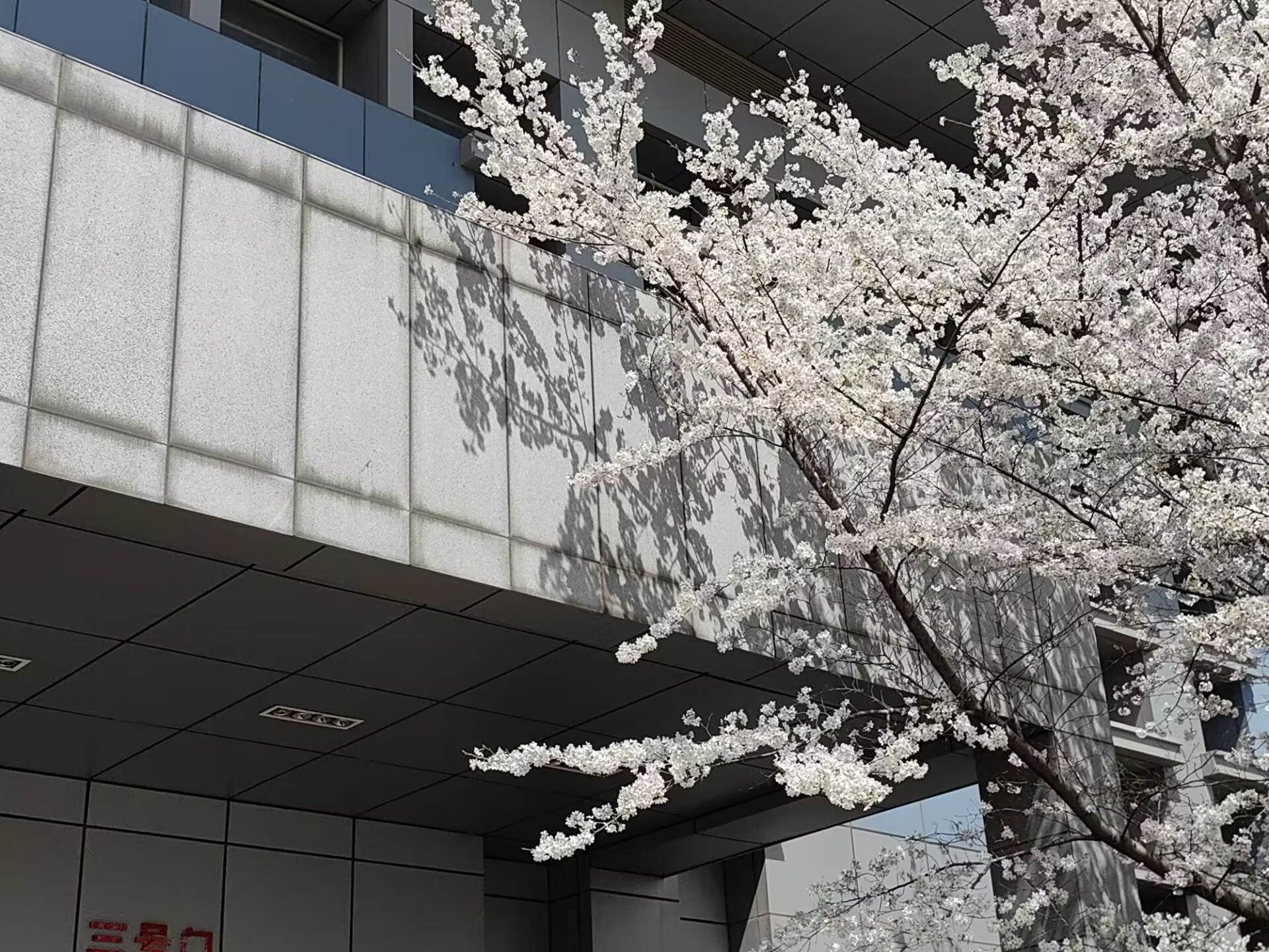 光学显微镜图像超分辨深度神经网络的评价与发展