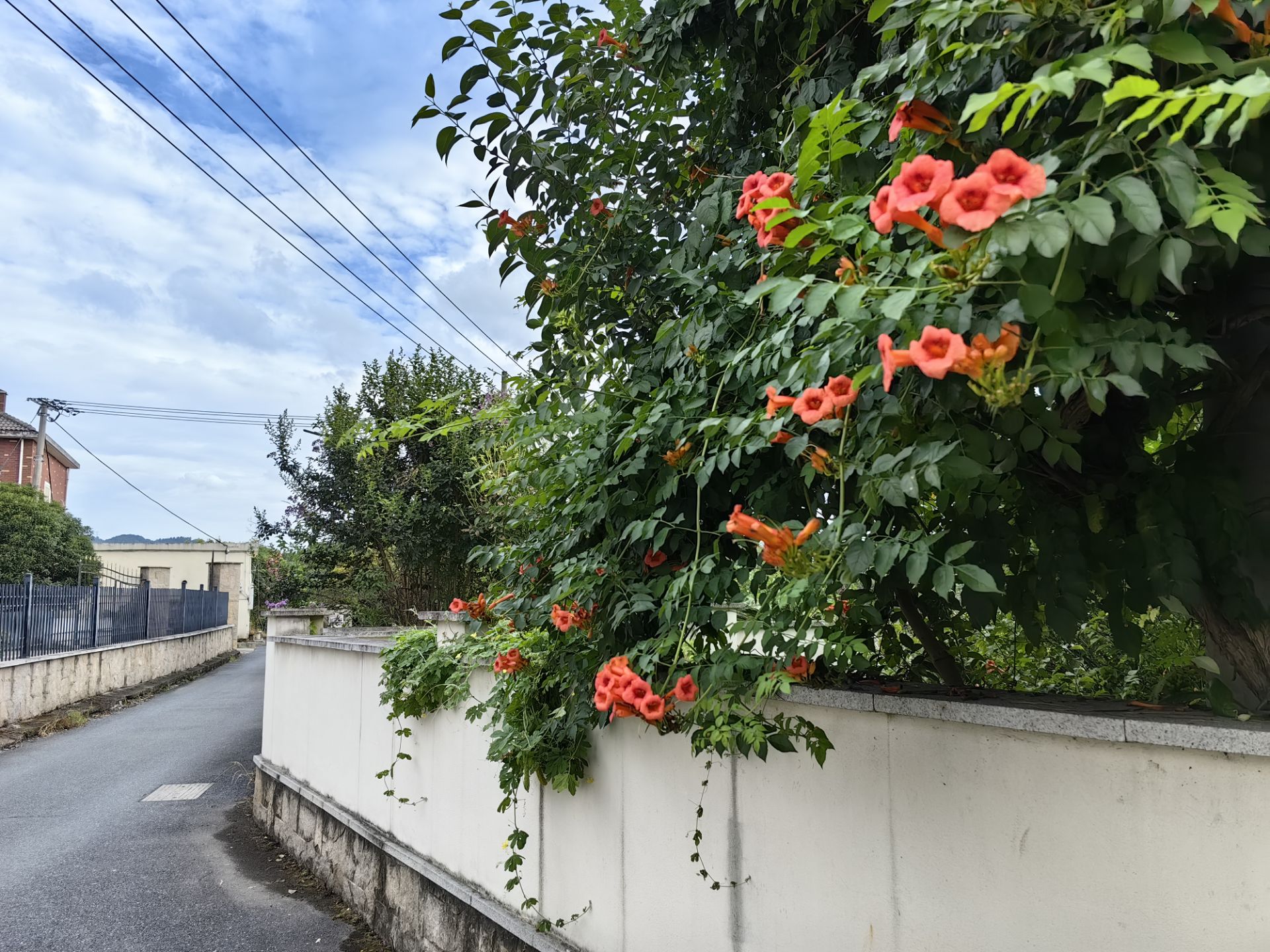 基于条件对抗网络的图像到图像转换(Pix2Pix)