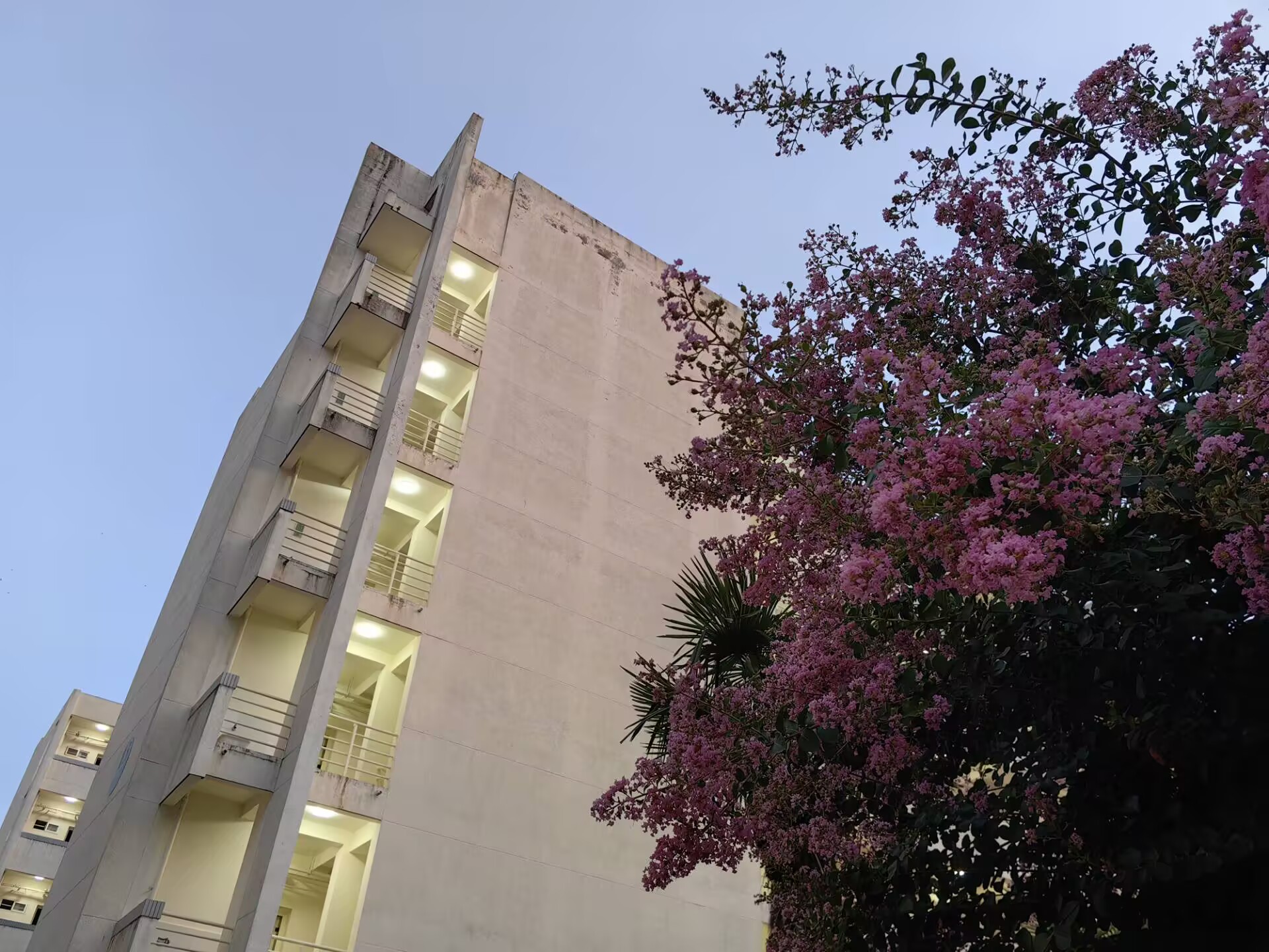 U-Net++:重新设计跳跃连接以利用图像分割中的多尺度特征