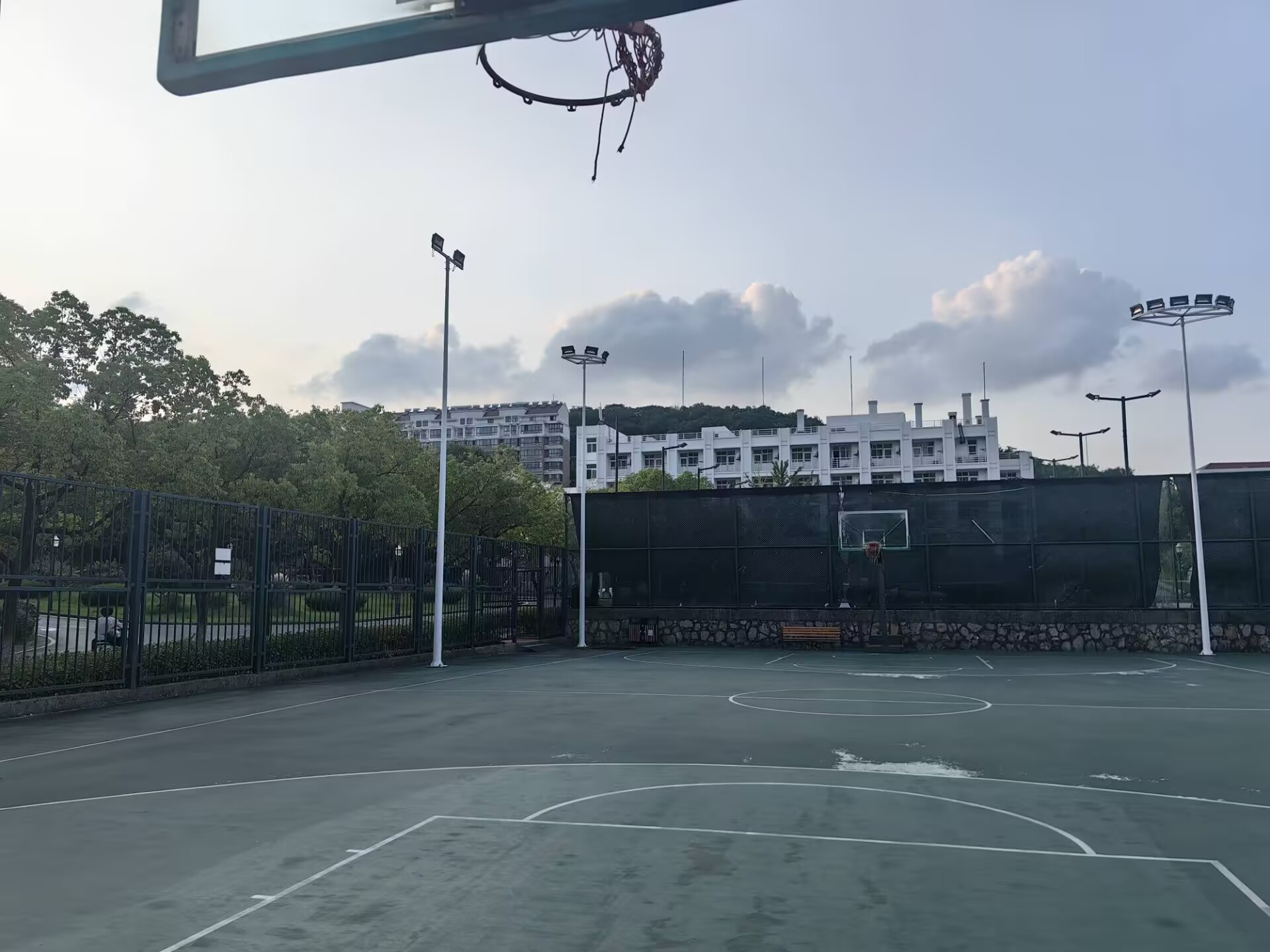 多模态结构照明显微镜的自监督去噪使长期超分辨率活细胞成像成为可能