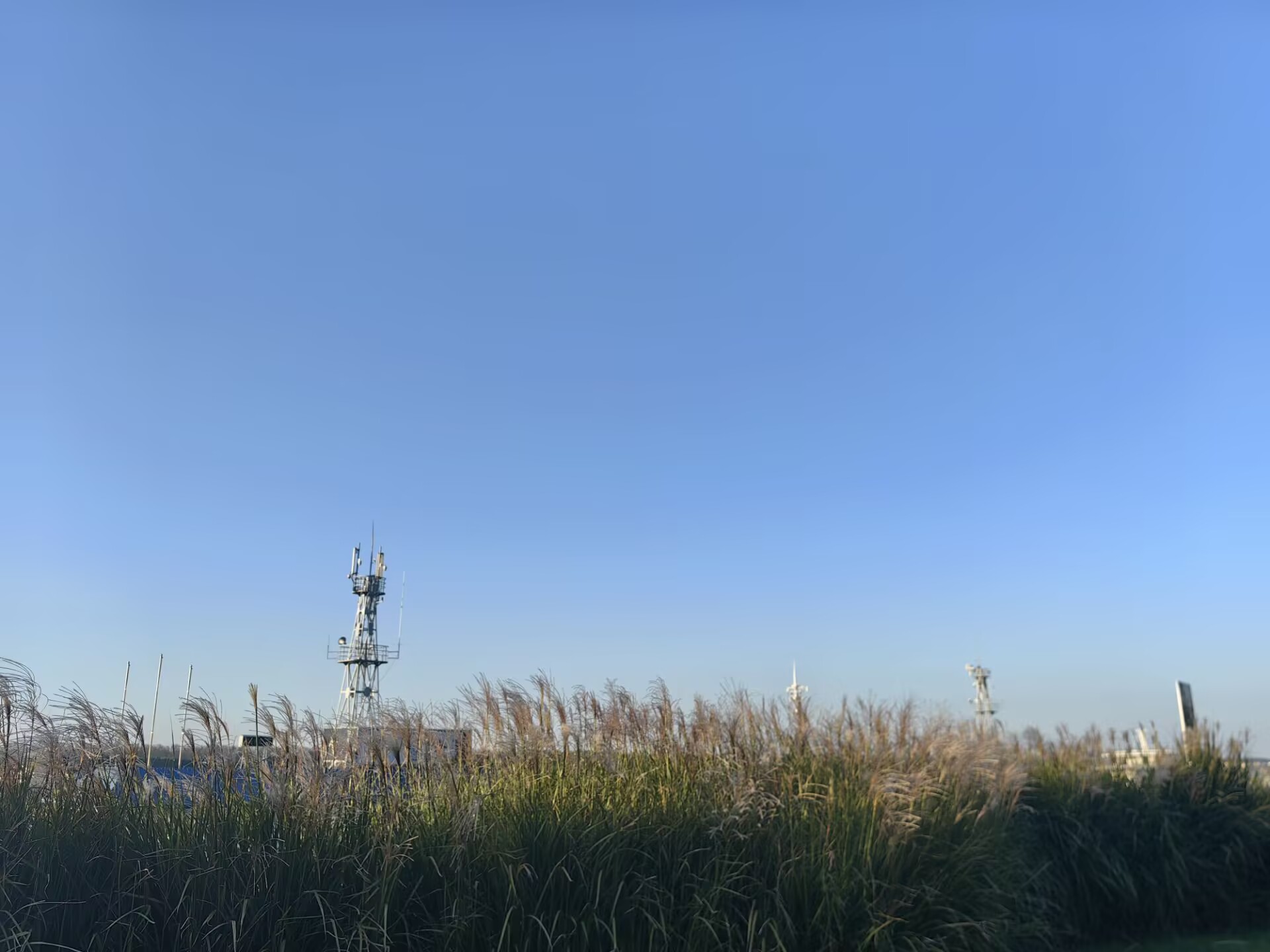 未经训练的神经网络实现快速和通用的结构照明显微镜