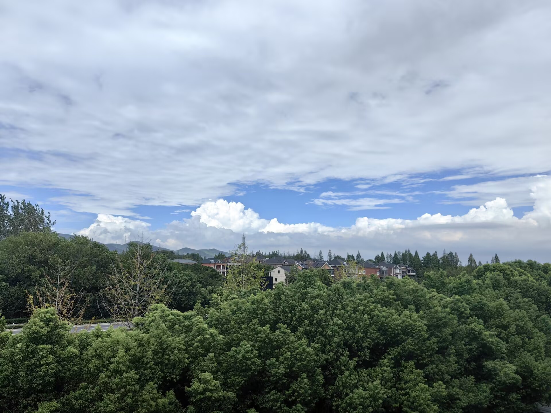 物理先验引导深度学习用于SIM重建：建模对象到图像的退化