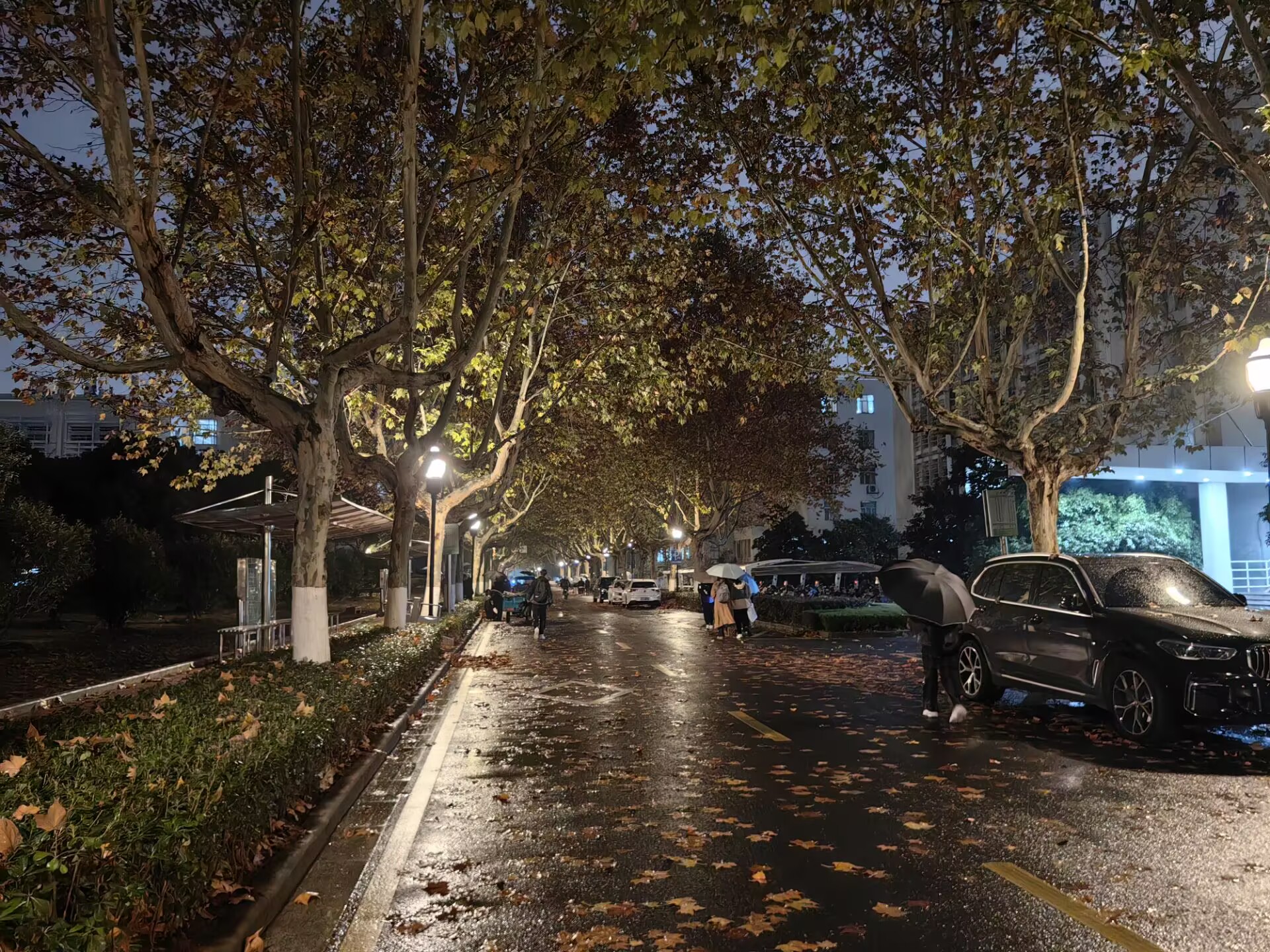 深度学习使结构照明显微镜具有低光照水平和增强的速度