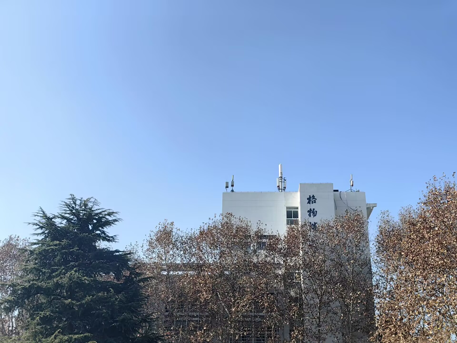 深度学习辅助等离子体暗场显微镜超分辨率无标记成像