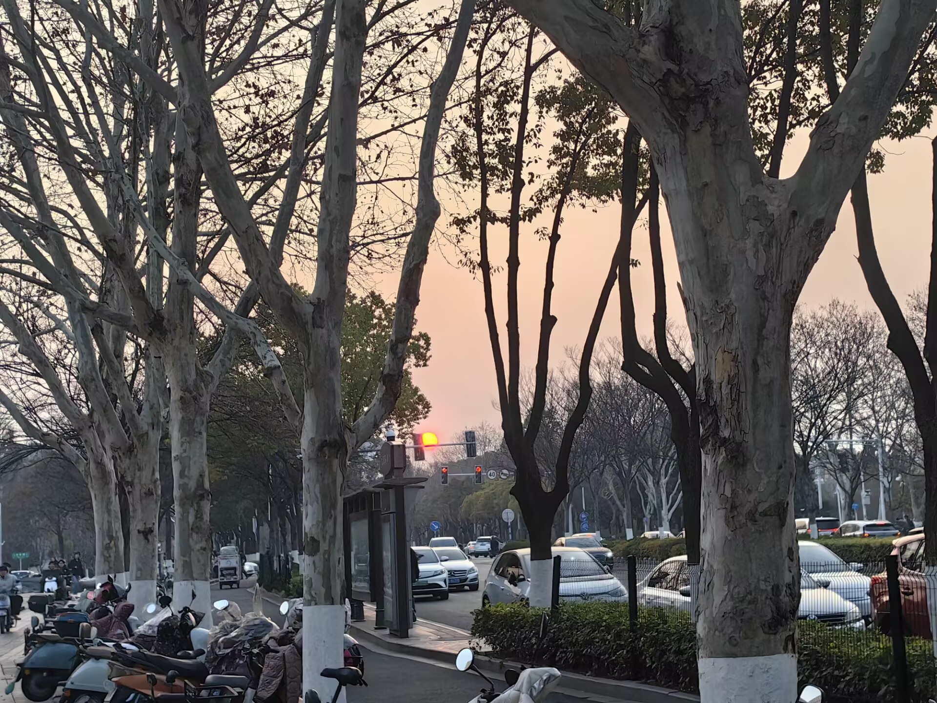 结构参数对准周期光栅高阶衍射抑制的影响